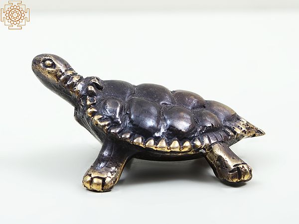Small Brass Tortoise Figurine | Home Decor Items