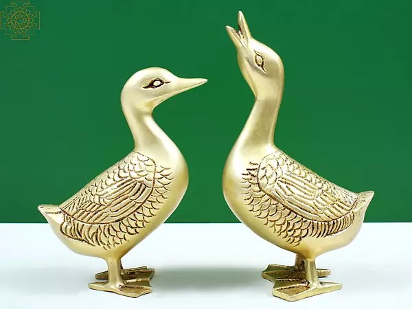 8" Brass Duck Figures