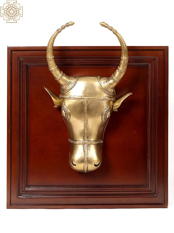 23" Bull Head in Brass | Wooden Wall Hanging Frame