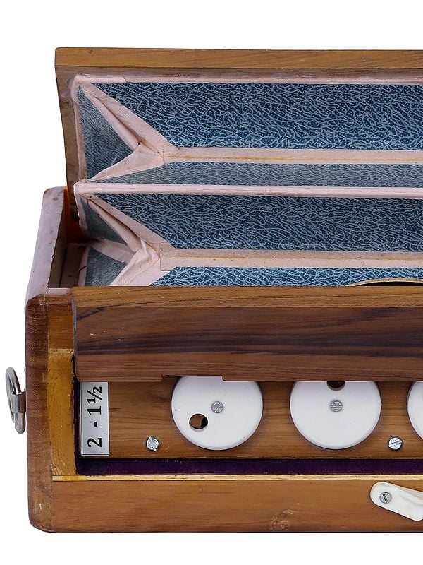 21" Shruti Box Musical Instrument Exotic India Art