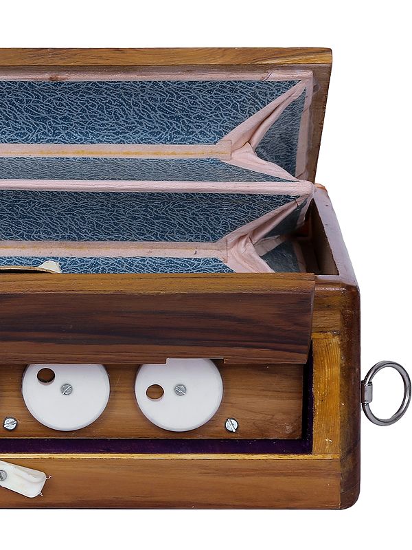 21" Shruti Box Musical Instrument Exotic India Art