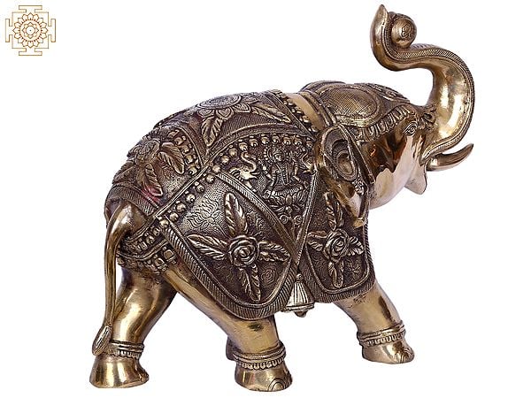 その他 PRE-ASSEMBLEDCOLLECTION BRAHMAN ELEPHAN その他 PRE-ASSEMBLEDCOLLECTION BRAHMAN ELEPHAN THE ELEPHANT