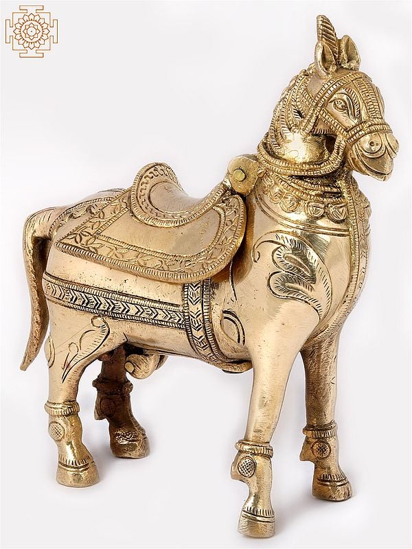 6'' Standing Horse Cash Box | Home Decor | Brass