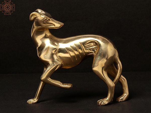 6'' Greyhound Looking Back | Brass Statue