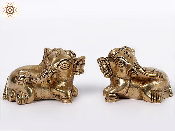 2" Small Reclining Baby Elephant Pair | Brass Statue