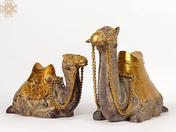 16" Pair of Camel in Brass | Decorative Showpiece