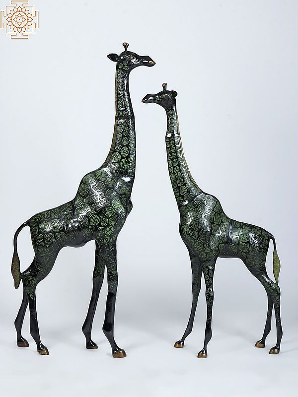 46" Pair of Giraffe Brass Statue