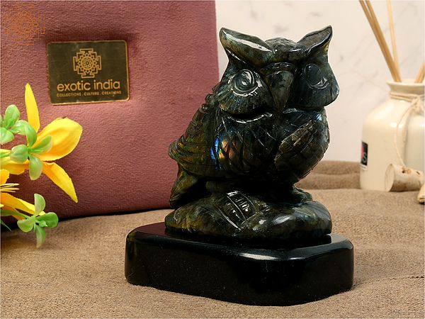 Natural Labradorite Gemstone Owl | Black Agate Base with Gift Box