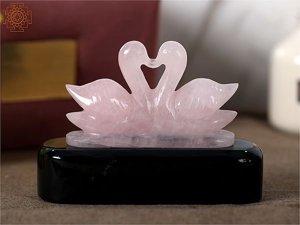 Rose Quartz Mandarin Swan Couple on Black Agate Pedestal with Gift Box