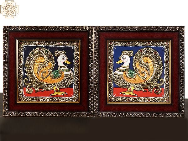 Pair of Peacock (Annam) Tanjore Painting with Frame