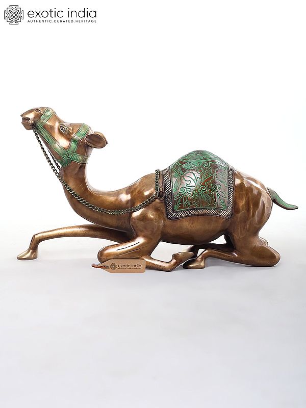 Camel with Outstretched Neck