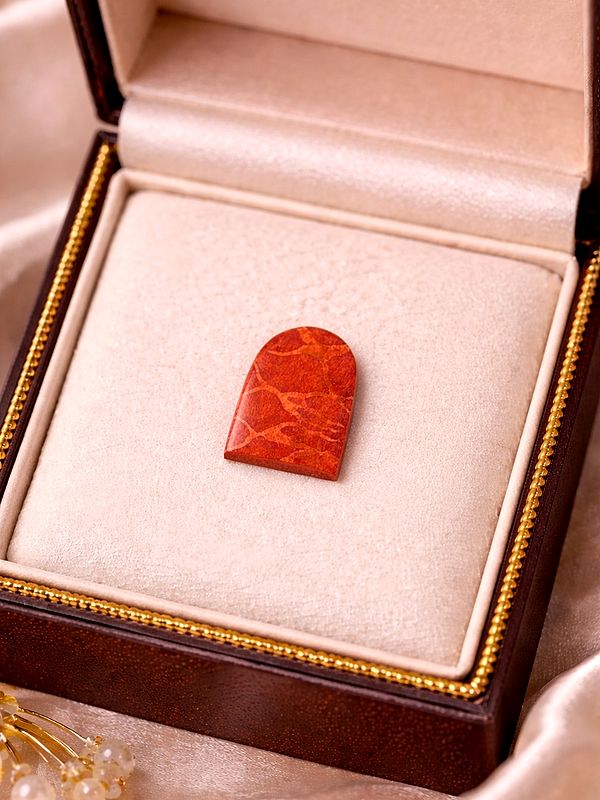 Geometric Cut Sponge Coral (Single Piece)