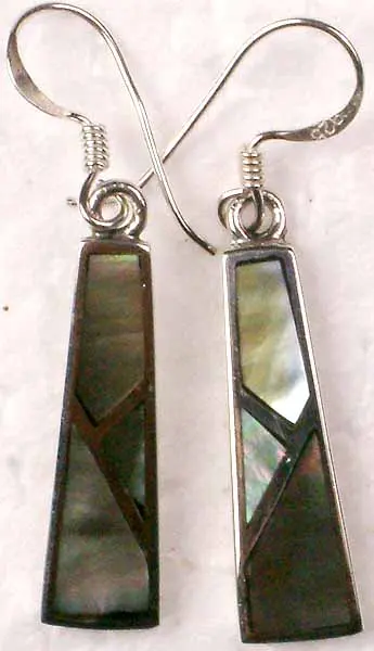 Abalone Shell Earrings