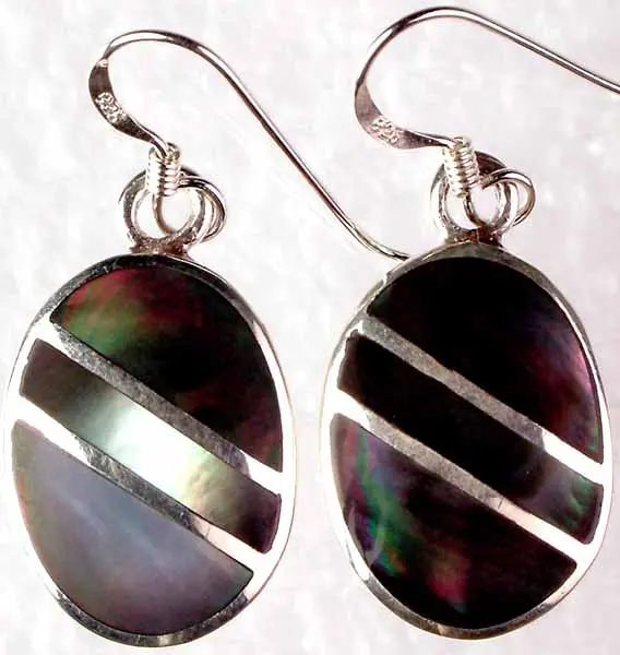 Abalone Shell Earrings