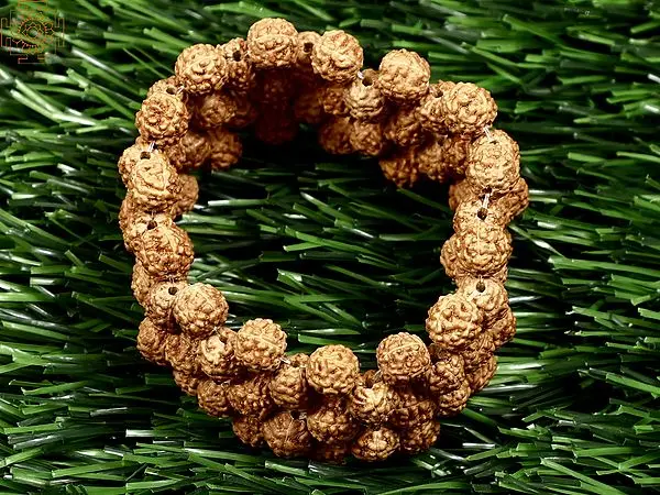 Rudraksh Stretchable Bracelet