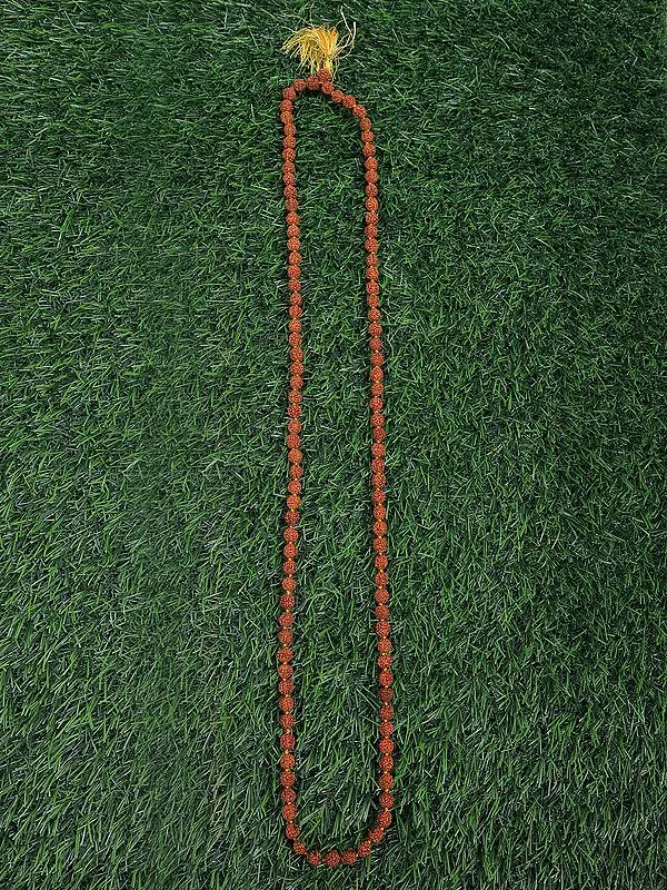 Rudraksh Mala