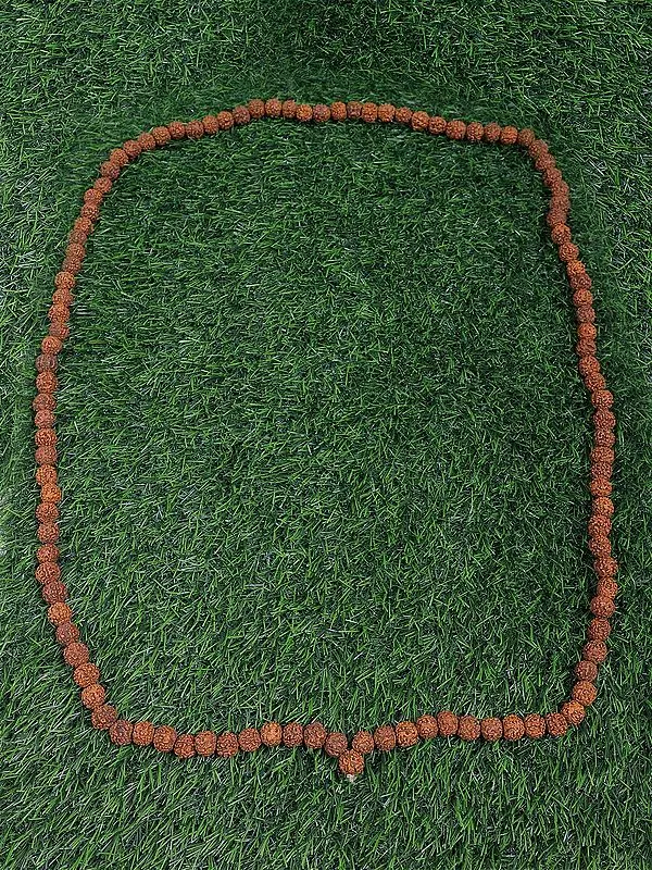 Rudraksh Mala