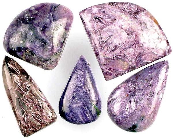 Lot of 5 Chavorite Drilled Cabochons