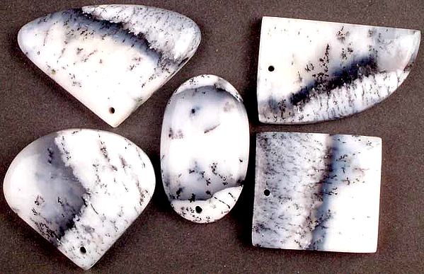 Lot of 5 Dendrite Opal Drilled Cabochons