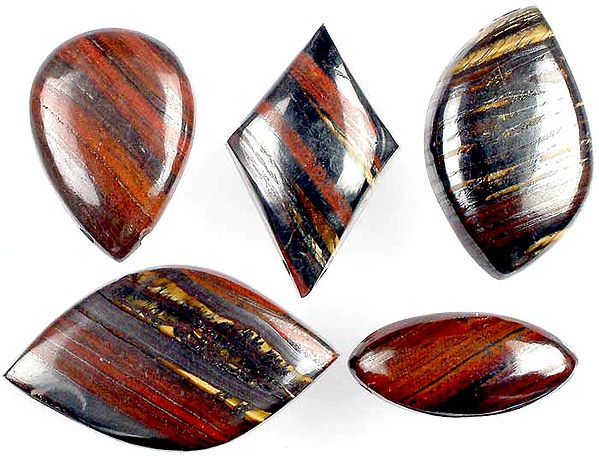 Lot of 5 Iron Tiger Eye Drilled Cabochons