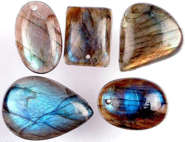 Lot of 5 Labradorite Drilled Cabochons