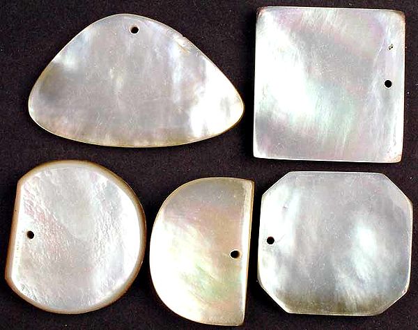 Lot of 5 Mother of Pearl Drilled Cabochons
