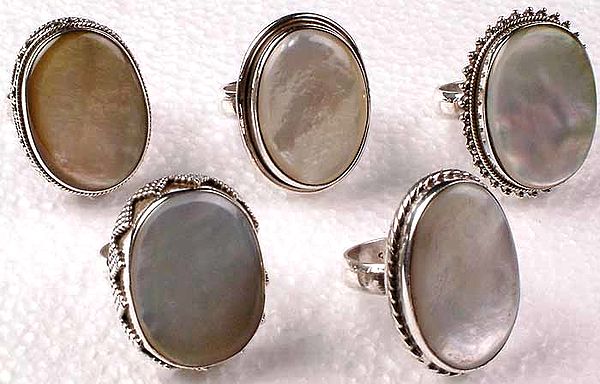 Lot of 5 Oval Shell Rings