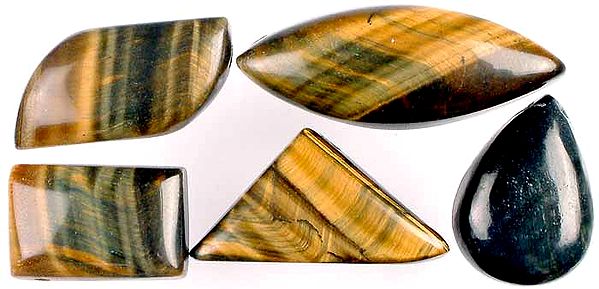 Lot of 5 Tiger Eye Side Drilled Cabochons