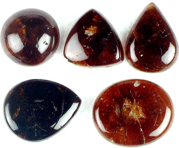 Lot of Five Brown Tourmaline Cabochons