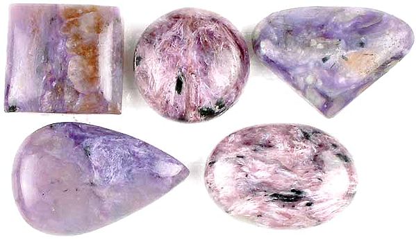 Lot of Five Undrilled Chavorite Cabochons