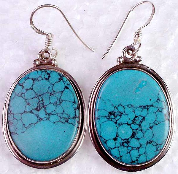 Oval Turquoise Earrings