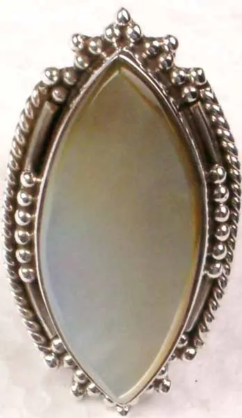 Shell Ring