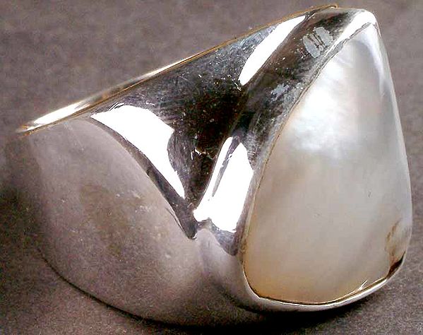 Shell Ring