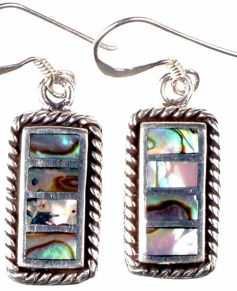 Abalone Shell Earrings