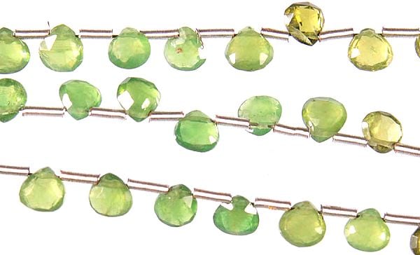 Faceted Green Tourmaline Briolette