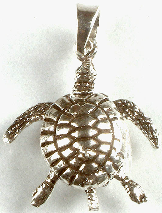 Sterling Tortoise Pendant