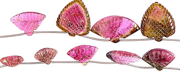 Carved Water Melon Tourmaline Shapes