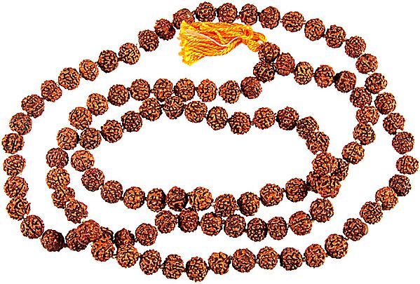 Rudraksh (Rosary) with 108 Beads for Chanting