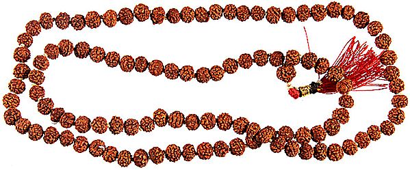 Rudraksha Mala with 108 Beads for Chanting Mantras or Syllables or Name of God