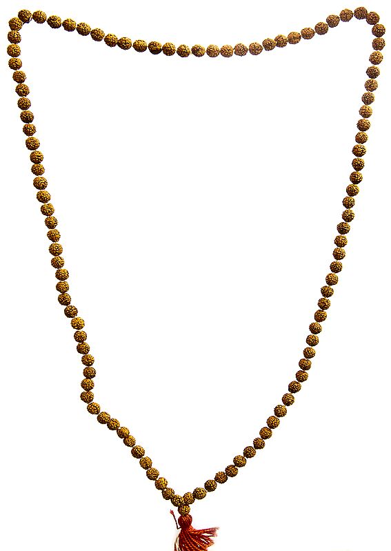 Rudraksha Mala (Rosary) 108 Beads for Chanting
