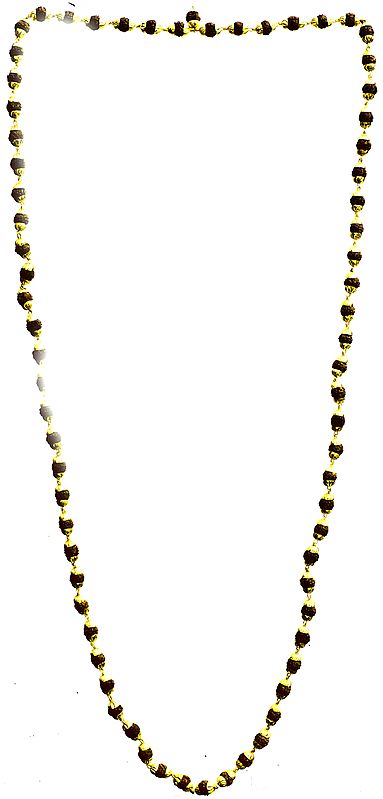 Rudraksha Mala (Rosary) 108 Beads for Chanting