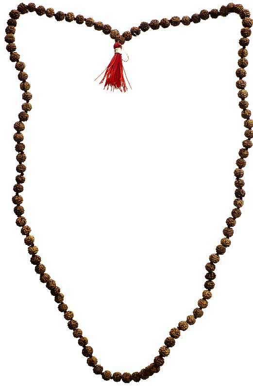 Rudraksha Mala(Rosary) 108 Beads for Chanting