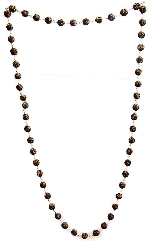 Rudraksha Mala with 54 Beads for Chanting