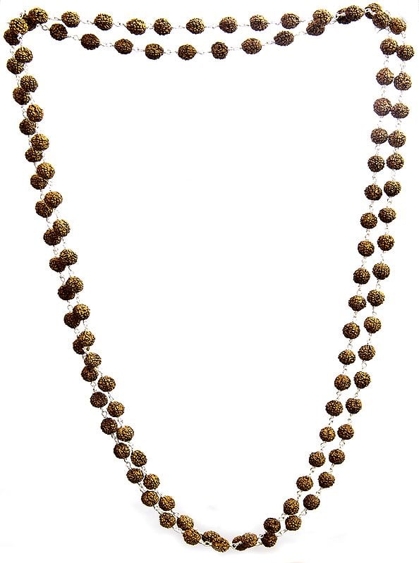 Rudraksha Mala with 108 Beads for Chanting