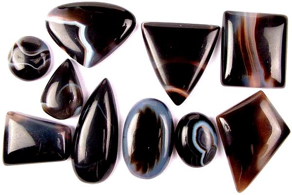 Lot of 10 Black Onyx Undrilled Cabochons