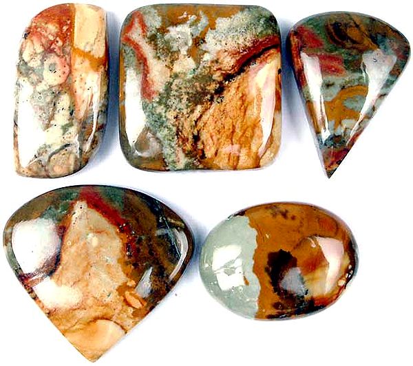 Lot of 5 Picture Jasper Undrilled Cabochons