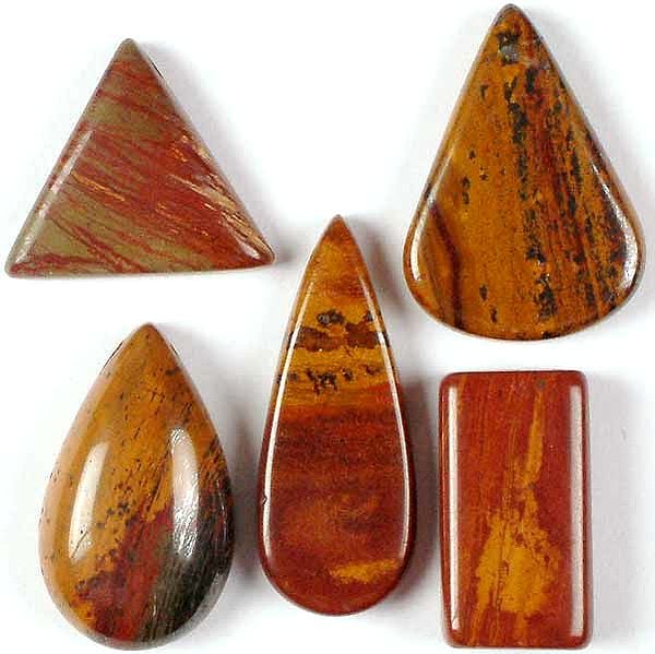 Lot of 5 Side Drilled Iron Tiger Eye Cabochons