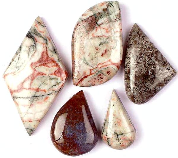 Lot of 5 Side Drilled Picture Jasper Cabochons