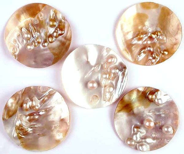 Lot of 5 Undrilled Mother of Pearl Discs