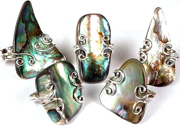 Lot of five Abalone Rings